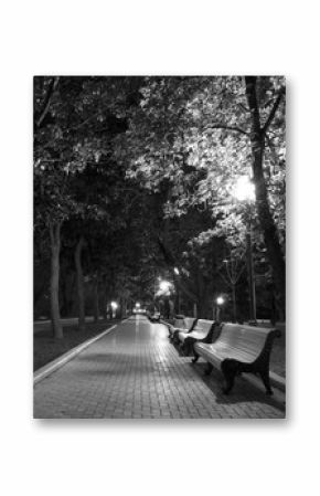 Night Park black white