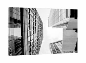 Glass surface view in district business centers with black and white color