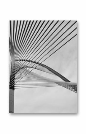 Modern Bridge Architecture 