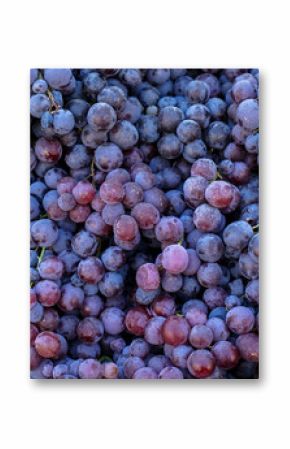 Piles of delicious fresh juicy seedless red grapes background in local city fruit market