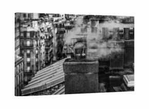 Small smoking chimneys in Paris