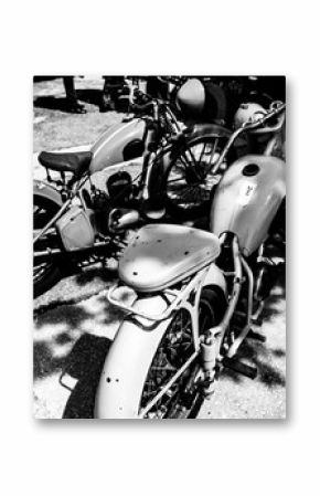 Grayscale shot of retro motorbikes parked close to the shadow cast from the trees