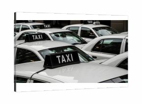 A close-up of the tops of several white taxi cabs, with black signs