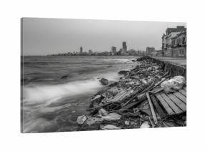 Gray shoreline littered with debris, overlooking a city skyline