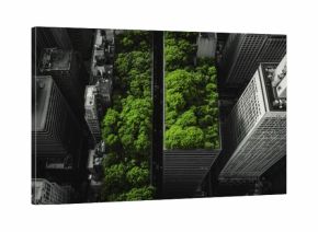 Black-and-white cityscape split by a vibrant green rooftop garden, symbolizing urban renewal.