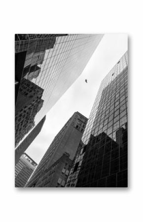 Bottom view of business buildings skyscrapers in New York, black and white