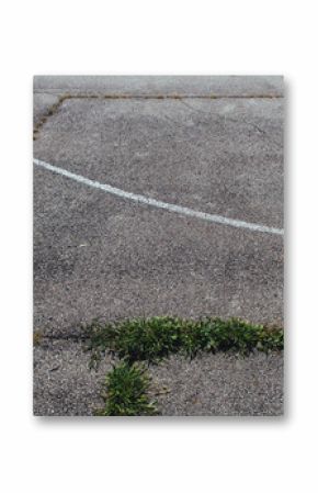 lines on a basketball court
