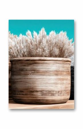 White and Black Planters with Dried Flowers on Wooden Surface