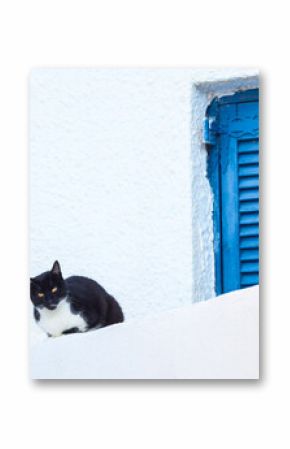 Black cat sitting near blue shutter window in the white village, Santorini, Greece
