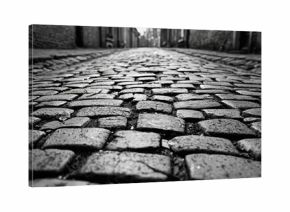 Close-up view of cobblestone street, highlighting textured pavement in black and white.
