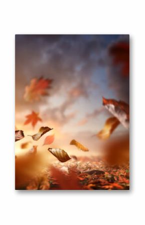 Fall season. Autumn background with the ground covered in leaves and the wind blowing them up into the air.