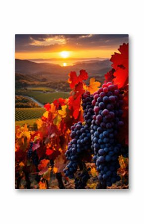 Natures canvas ablaze with warm hues as vineyards in autumn showcase their rich harvest inviting a feast for the senses 