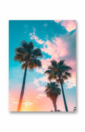 Palm trees, tropical summer background