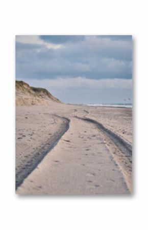 Tire Tracks on beach in denmark. High quality photo