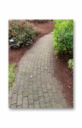 Paver path with fresh bark on the sides