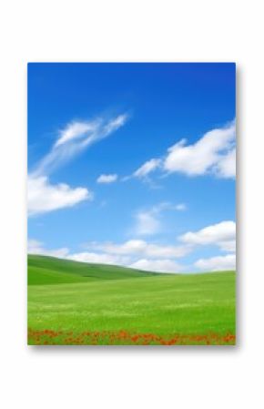 Spring, summer background. A green field with red flowers and a blue sky.