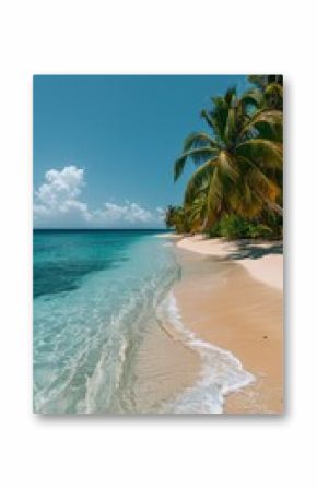 Sandy Beach With Palm Trees and Clear Blue Water