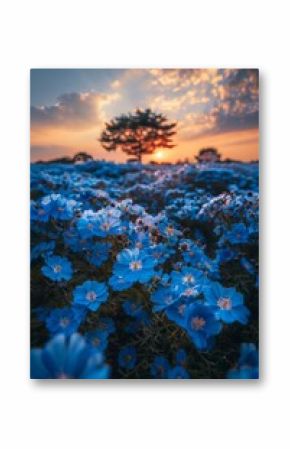 The ground is covered with blue flowers, and the sky in front has a beautiful sunrise.