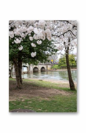 View of the Ohio Drive Bridge across the Tidal Basin in Washington DC during cherry blossom season