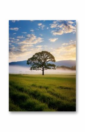 Lone oak tree is standing on a green field with the sun rising in the background, casting a warm glow over the misty landscape