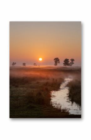 sunrise over grass land in national park weerribben wieden near Giethoorn in the neherlands