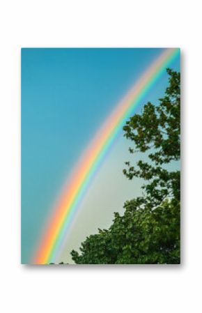 Rainbow at the sky after summer shower rain