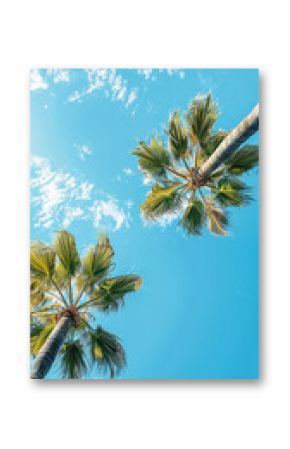 Bottom view of tall palm trees. Blue sunny sky. Summer holiday vibe. Generative AI