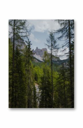 The Dolomite Mountains seen through forest, Italy