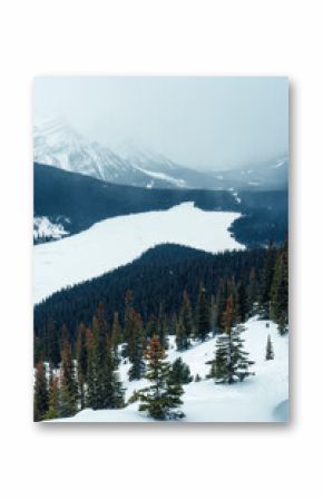 Peyto Lake with snow covered in the valley on snowing day at Banff national park, Canada