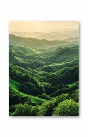 A view of rolling green hills and a forest during sunset.