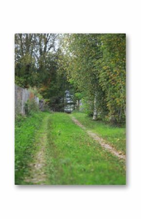 Scenic Rural Path with Lush Green Foliage and Trees in Country Landscape