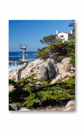Coastal landscape in California