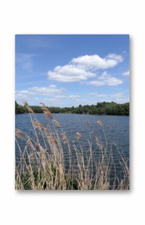 Schultheisweiher bei Offenbach