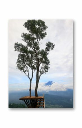 Lonely tree with meditation platform viewpoint Bali volcano Indonesia