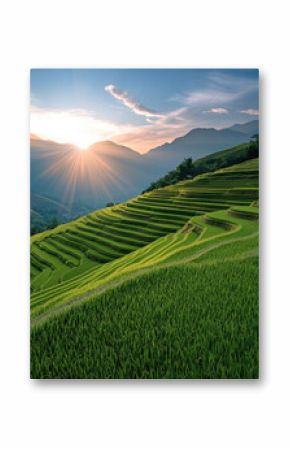 breathtaking view of terraced rice fields illuminated by golden light of sunrise, showcasing vibrant green hues and majestic mountains background, evoking sense of tranquility and natural beauty