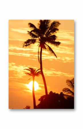 A palm tree is silhouetted against a sunset sky