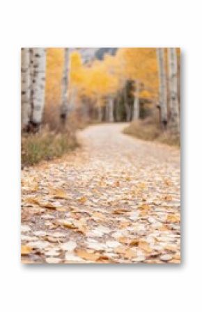 Autumn Road Through Golden Aspen Trees