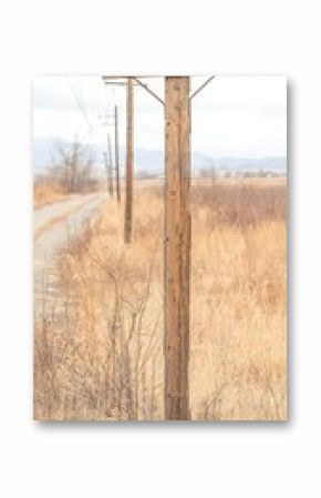 Weathered Wooden Utility Pole in a Rural Landscape