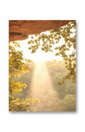 Sunlight Beam Through Sandstone Cliff with Green Vines