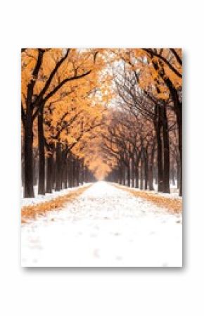 Snowy Path Through a Frost Covered Forest with Yellow and Orange Leaves