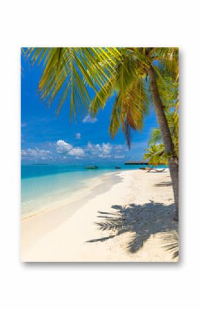 Scenic tropical beach paradise on exotic island. Relaxing palm trees sunny sea sand sky. Luxury summer vibes perfect travel destination for honeymoon coastal adventures. Majestic best tourism nature