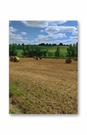 Wide panorama of rural fields with hay bales under a blue sky