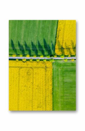 Vibrant yellow rapeseed blooms contrast with lush green grass in expansive fields. This aerial view captures the beauty of a spring landscape with patterns and shadows.