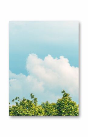 Green treetops, white clouds and blue sky are perfect background for nature and environment concept