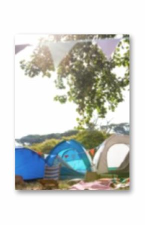 Tents by tree on grassy field