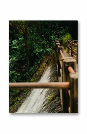 A narrow bridge runs alongside a cascading stream deep in El Yunque National Forest, Puerto Rico