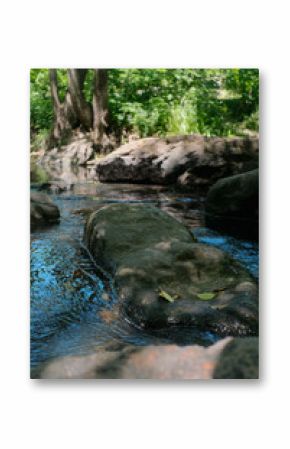 Sun-dappled rocks in a clear stream lead to lush green trees under a bright blue sky.
