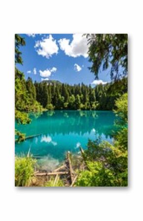 Serene alpine lake surrounded by forest