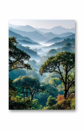 Beautiful sunrise in rain forest, humid clouds, panoramic view. Travel and nature concept  