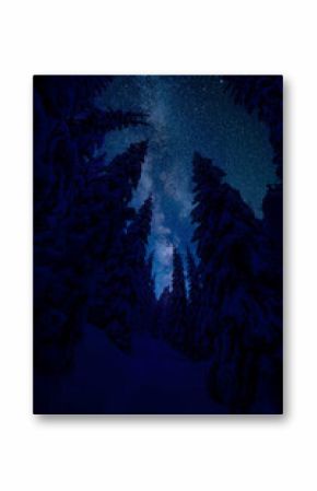 Winter night in wood on mountains with stars in sky